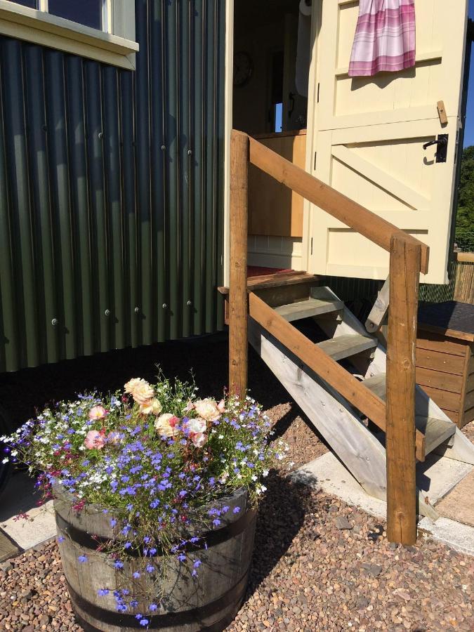 The Hawthorn Shepherds Hut Eyemouth Ngoại thất bức ảnh