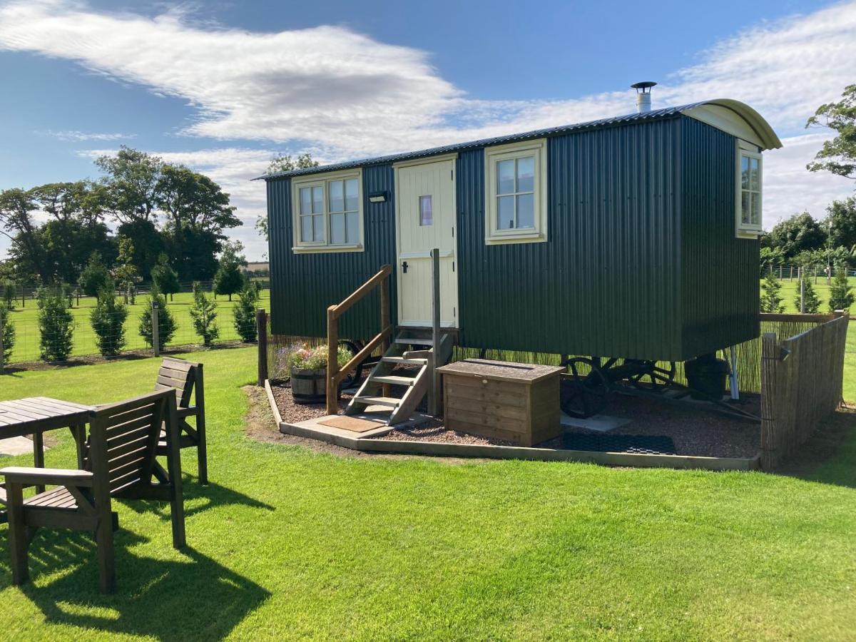 The Hawthorn Shepherds Hut Eyemouth Ngoại thất bức ảnh