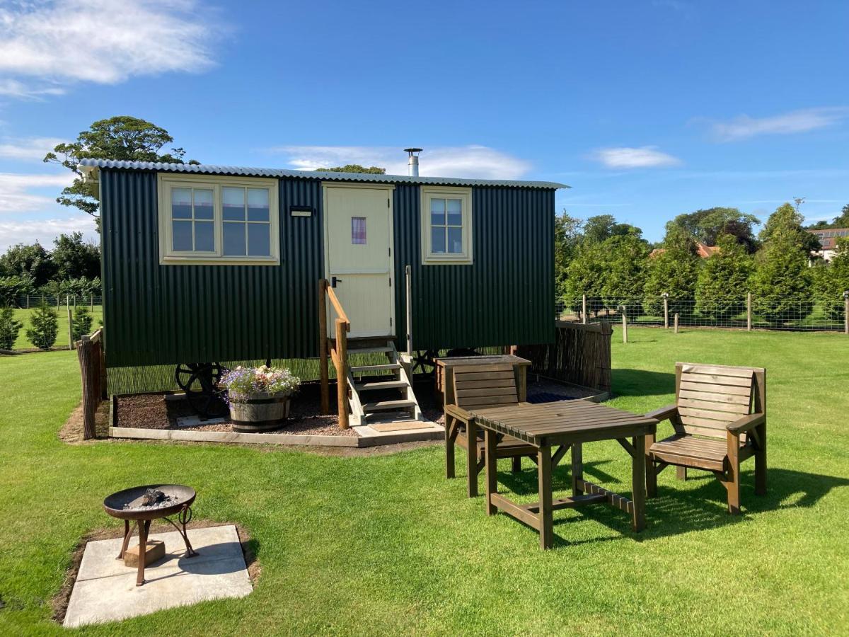 The Hawthorn Shepherds Hut Eyemouth Ngoại thất bức ảnh